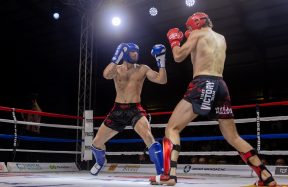 KBV „Flek Tom-Cat“ najuspješniji klub na 2. dijelu Prvenstva BiH u kickboxu