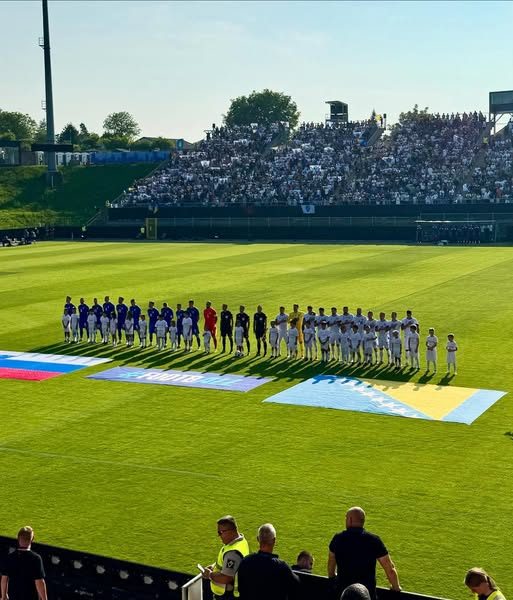 U Celju nevjerovatne scene: Igraju Slovenija i BIH, sve u znaku ljiljana, bh. navijači dominiraju