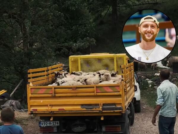 Kakva gesta! Nurkić povratničkoj porodici iz Foče kupio stado ovaca nakon napada vukova</a>