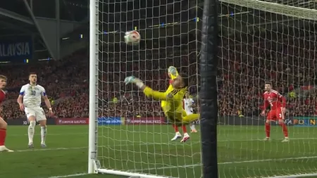 demirovic darlow