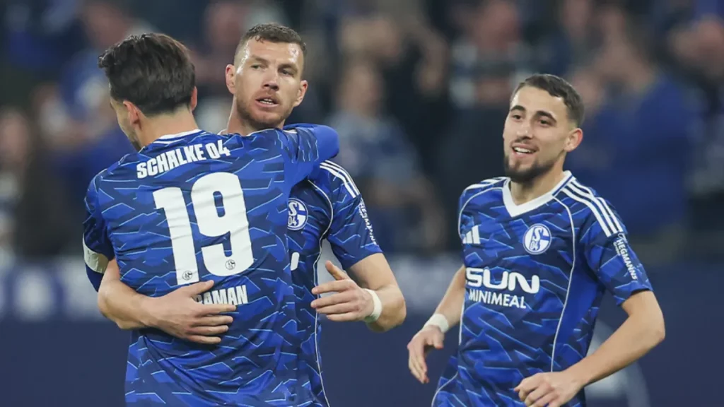 dzeko slavi arminia schalke 04