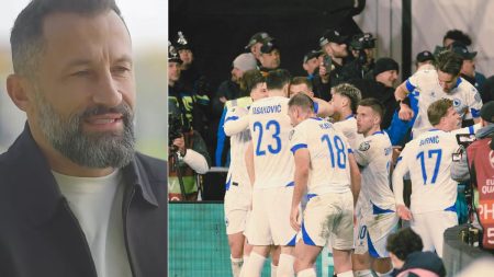 hasan braco salihamidžić repezentacija