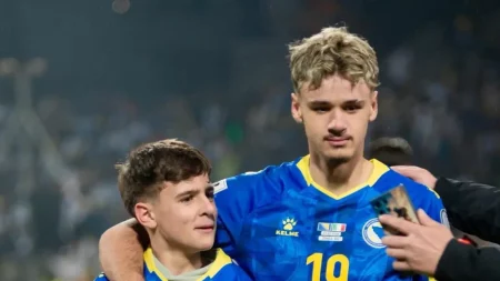 kerim alajbegović