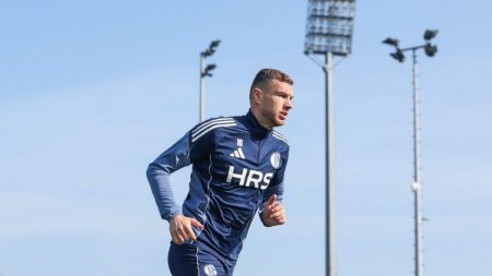 Edin Džeko