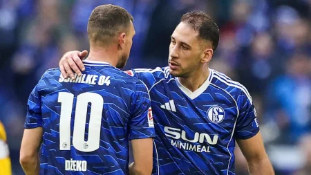 edin džeko i nikola katić
