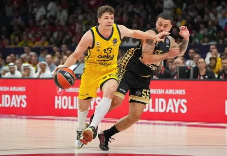Tarik Biberović