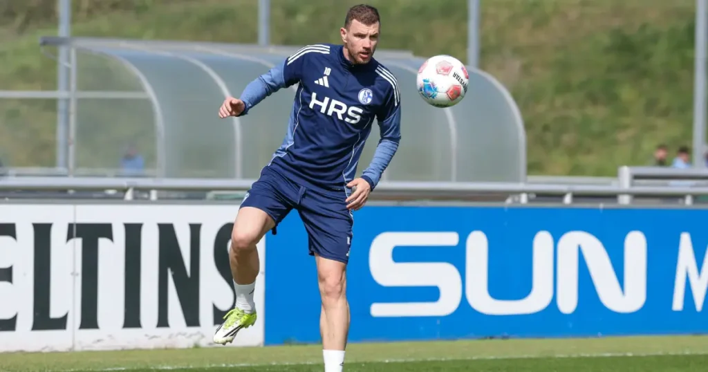 edin dzeko
