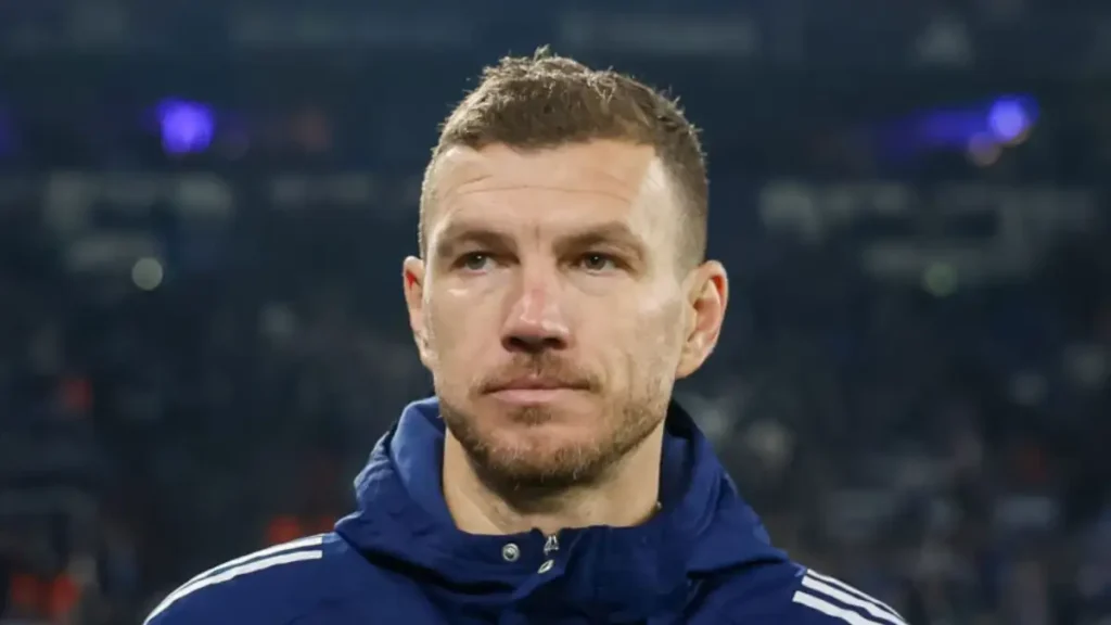 Edin Džeko