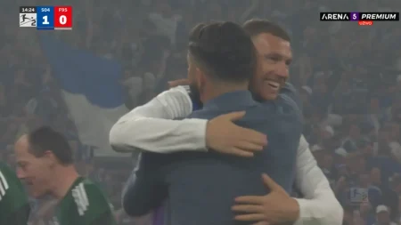 edin dzeko i miron muslic