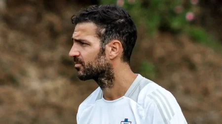 Cesc Fabregas
