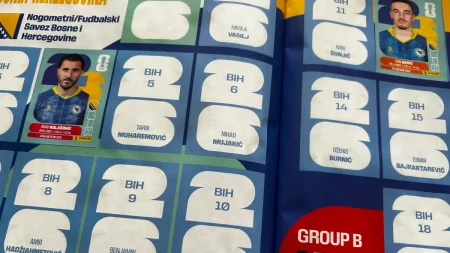 panini album