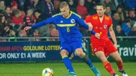 vladan danilovic bih