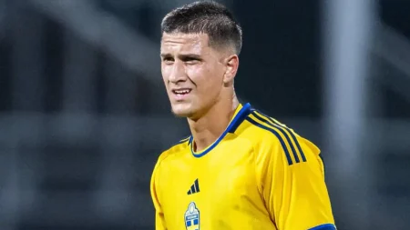Zinedin Smajlović