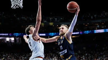 dzanan musa bih