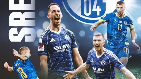 Schalke poslao poruku podrške Zmajevima
